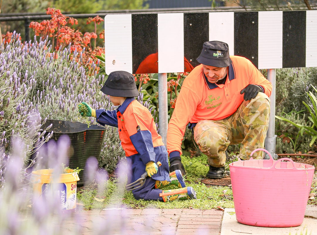 Rail Care Volunteers